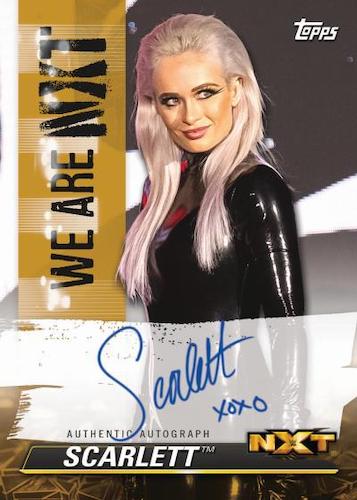 2021 Topps WWE NXT Wrestling Hobby, Box