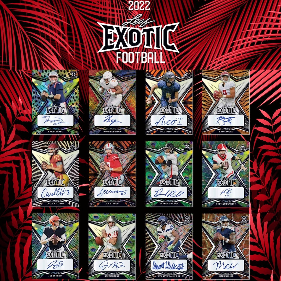 2022 Leaf Exotic Football Hobby, Box