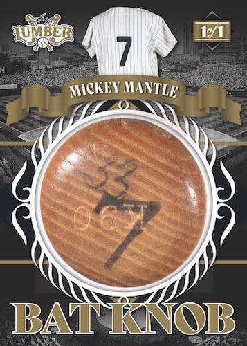 2022 Leaf Lumber Baseball Hobby, 10 Box Case