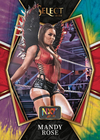 2022 Panini Select WWE Hobby, Box