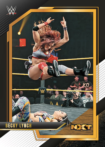 *LAST BOX* 2022 Panini WWE NXT 2.0 Wrestling Hobby, Box