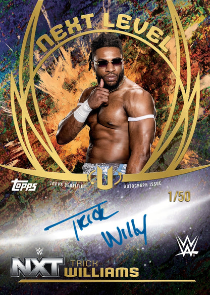2025 Topps WWE Universe Hobby, 12 Box Case