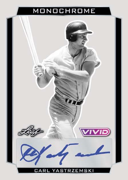 2025 Leaf Vivid Baseball Hobby, Box