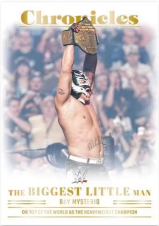 2023 Panini Chronicles WWE Hobby, Box