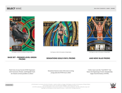2024 Panini Select WWE Hobby, 12 Box Case