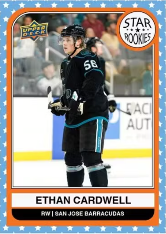 2023-24 Upper Deck AHL Hobby Hockey, 12 Box Inner Case