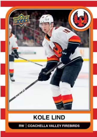2023-24 Upper Deck AHL Hobby Hockey, 24 Box Master Case